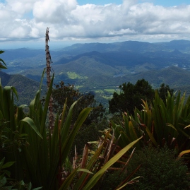 View from Mt Warning on a Sunny Day