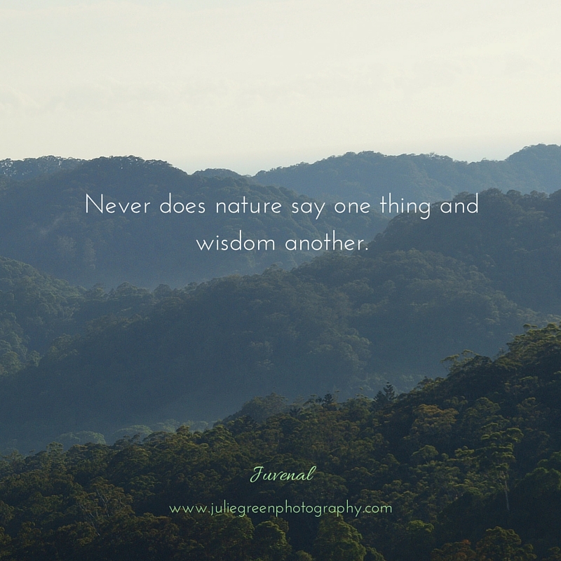 nature wisdom