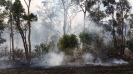 Masonite Road Fire Tomago Port Stephens Newcastle