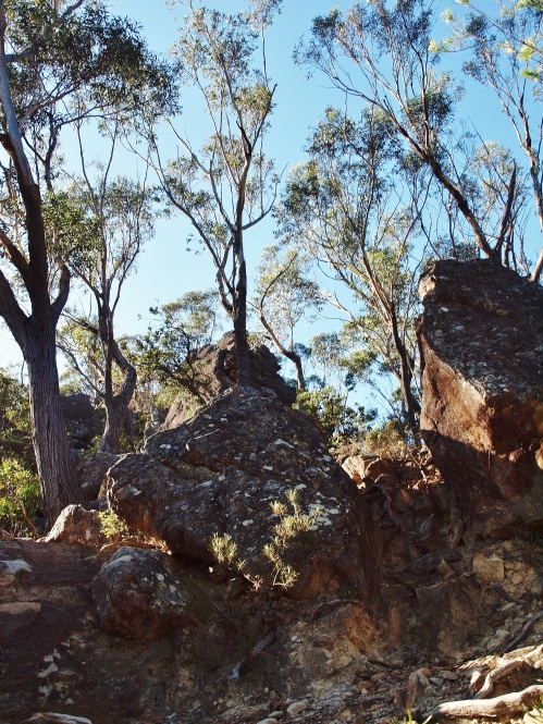 Mount Solitary Hiking Nature Photography Australia