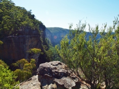 Mount Solitary Hiking Nature Photography Australia