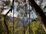 Mt Solitary Blue Mountains (8)