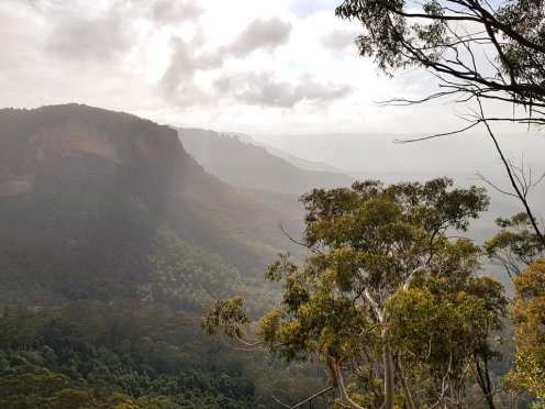 Mt Solitary Katoomba Nature Photography